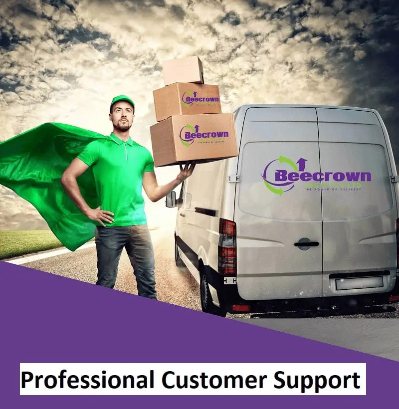 Professional-Customer-support